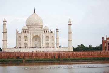 Fototapeta na wymiar The stunning Taj Mahal in Agra India