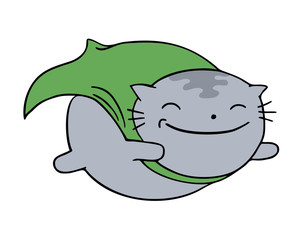 happy hero cat flying