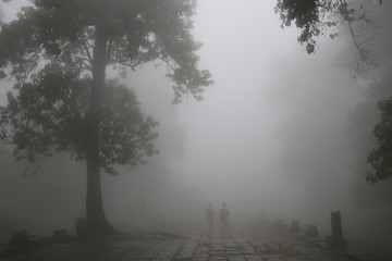 Fototapeta na wymiar Fog in Forest with two people
