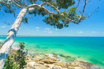 Noosa National Park on a perfect day with blue water and pandanus palms