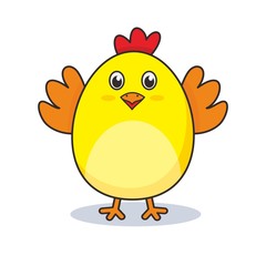 chicken vector illustration
