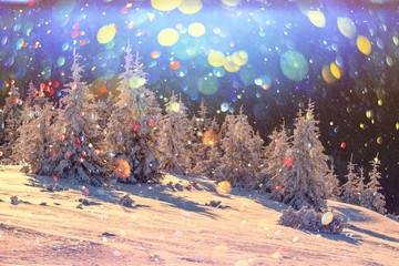 Fantastic winter landscape with snowy trees in high mountains. DOF bokeh light postprocessing effect. Christmas holiday collage