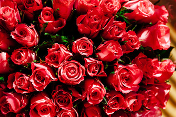 Red roses bouquet close up
