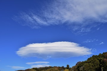 Autumn spectacle / Blue sky and white clouds