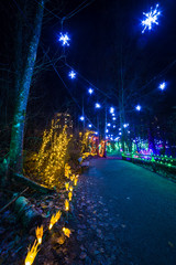 Christmas lights decoration on the pathway in Coquitlam, British Columbia, Canada