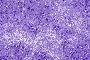 
Background consisting of a texture similar to a grooved glass.