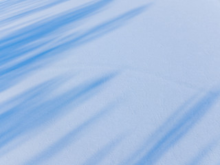 Obraz premium Aerial view on the texture of snow with shadow from trees on the surface of a winter lake 