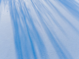 Obraz premium Aerial view on the texture of snow with shadow from trees on the surface of a winter lake 