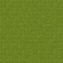 High resolution grass texture - seamless
