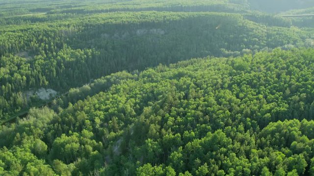 Aerial boreal deciduous forest Athabasca tar sands Canada