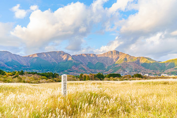日本の秋 箱根仙石原のススキ草原