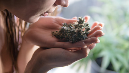.girl holding fresh marijuana buds in the hands