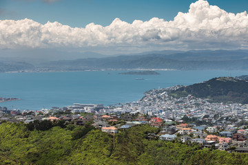 Fototapeta na wymiar Wellington City Environment, New Zealand