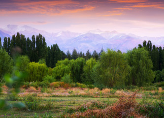 View of Andes mountains from green valley