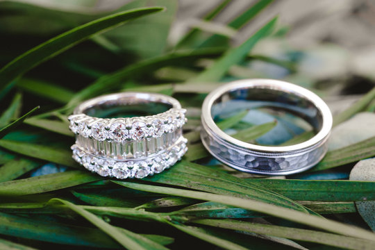 Wedding bands against greenery