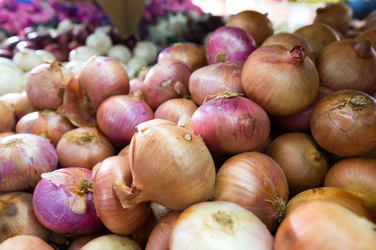 Fresh ripe onions