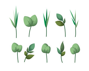 set of laurel leafs