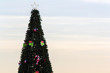 Christmas tree with star on top and copy space