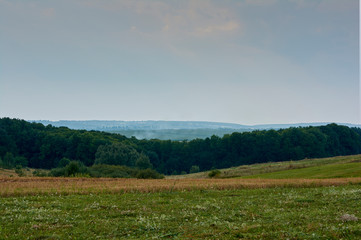 Summer landscape in the countryside. Field with green grass. Forest on the horizon. Ukraine Vinnytsia region.