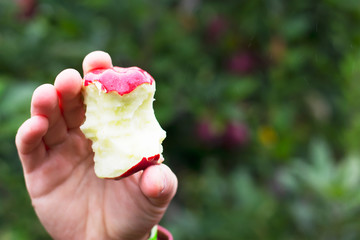 Side shoe of a red apple core being held in one hand