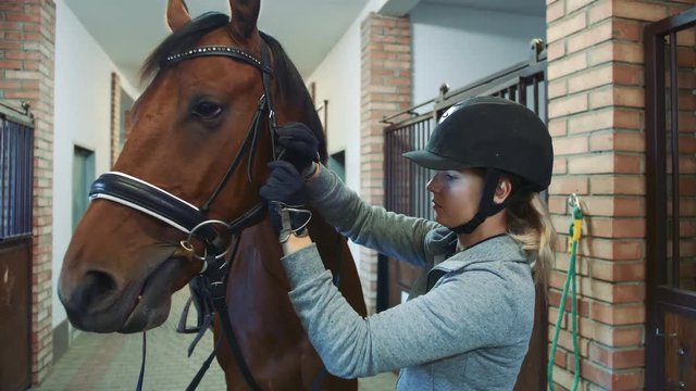 Young woman tightening bridle on horse.