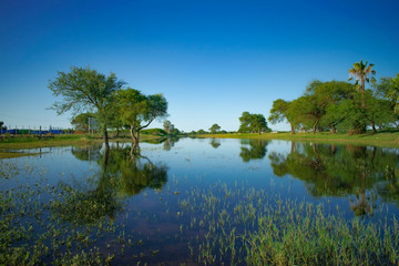 Fototapeta na wymiar Paisaje de Atardecer con un Lago, Laguna