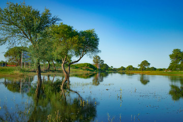 Fototapeta na wymiar Paisaje de Atardecer con un Lago, Laguna