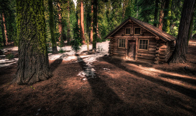 Cabin in the Woods, Maripose Grove, Yosemite National Park, California