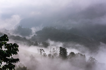 Magnificent heavy mist in landscape. Hill increased from fog,