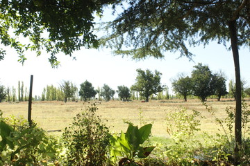 paisaje