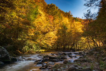 Middle Prong Little River surrounded by fall foliage in the Great Smoky Mountains National Park, Tennessee