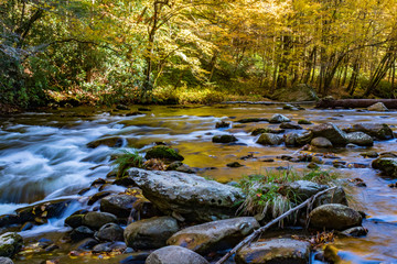 Naklejka na ściany i meble Middle Prong Little River surrounded by Fall Foliage in the Great Smoky Mountains National Park Tennessee