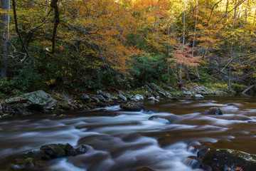 Middle Prong Little River surrounded by Fall Foliage in the  Great Smoky Mountains National Park Tennessee