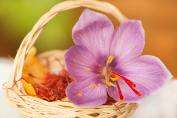 Dried saffron spice in small basket and saffron&acute;s flower