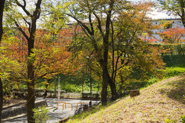 Fototapeta premium 千里東町公園周辺