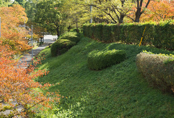 千里東町公園周辺