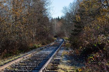Railroad with frost