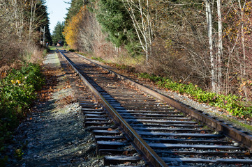 Disused railway line during winter