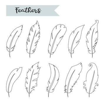 Vector feathers icon,sign,symbol, set, collection isolated vector