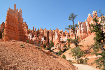 Bryce Canyon - Utah USA © Agata Slota