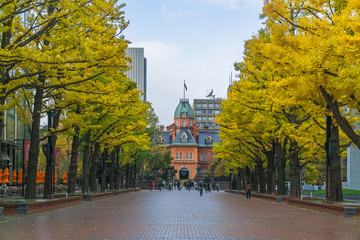 Former Hokkaido Government Office in Autumn, Japan