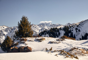 Landscape of snowy mountains