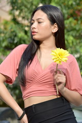 Unemotional Beautiful Asian Female With A Daisy