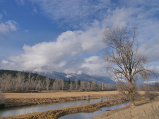 beautiful late autumn scenery from British Columbia