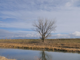 beautiful late autumn scenery from British Columbia