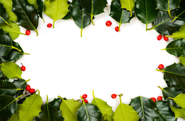 Holly Berries and Leaves Circle