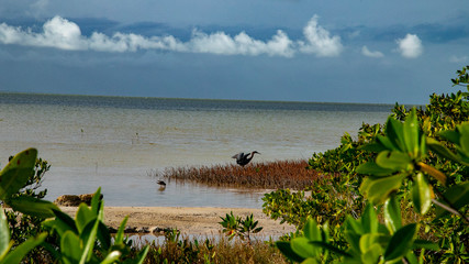  Beach Women or a white island. National Park near Cancun. Here you can rehearse each photographer....