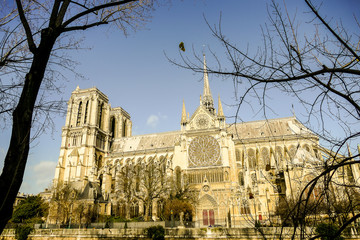 Notre Dame de paris Church cathedral detail, Photo image a Beautiful panoramic view of Paris...