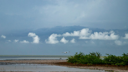  Beach Women or a white island. National Park near Cancun. Here you can rehearse each photographer....