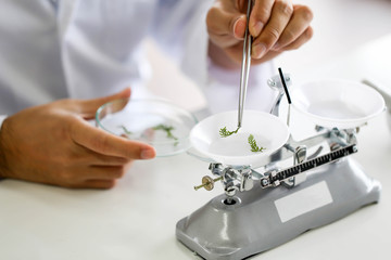 Set of Chemical tube development and pharmacy in laboratory,biochemistry and research technology concept.